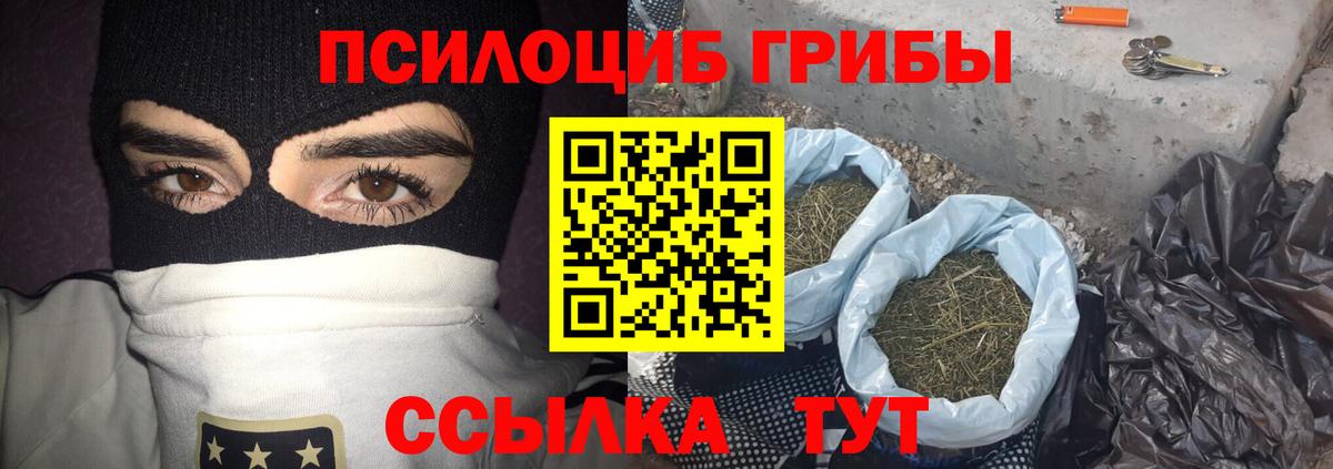 Галлюциногенные грибы прущие грибы Лысьва