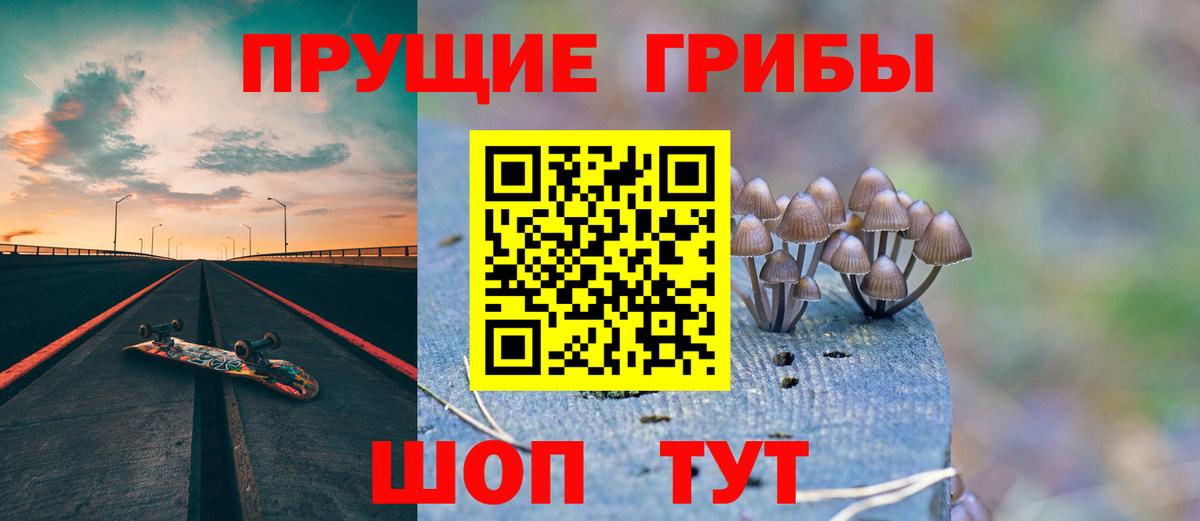 Лысьва  Псилоцибиновые грибы Psilocybe  Вход с VPN 